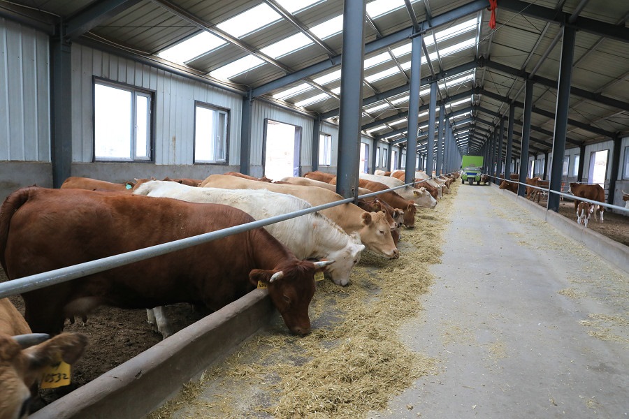 巴林左旗實施龍頭企業(yè)帶動作用帶領(lǐng)村民脫貧