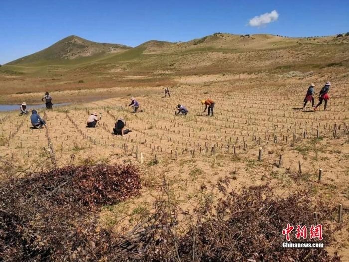 點擊進(jìn)入下一頁