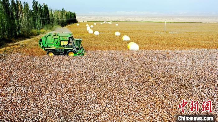 近年來，當(dāng)?shù)孛藁ǚN植戶的生產(chǎn)生活發(fā)生了翻天覆地的變化?！《?攝