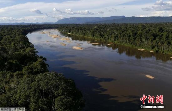 資料圖：亞馬孫雨林內(nèi)的河流。