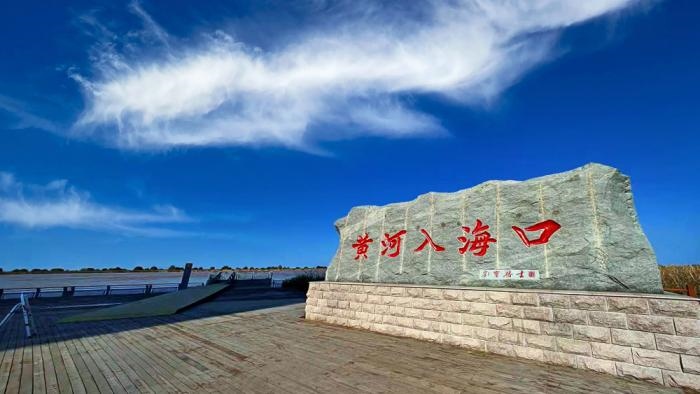 △黃河入?？谖挥谏綎|東營(yíng)市墾利區(qū)。(總臺(tái)央視記者彭漢明拍攝)