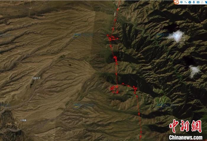 圖為雪豹故地重游來到放歸地的足跡。　內(nèi)蒙古賀蘭山國家級(jí)自然保護(hù)區(qū)供圖