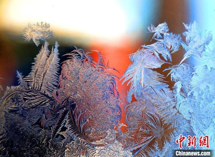 惟妙惟肖的冰窗花，似一幅風(fēng)景畫。　孫書程 攝