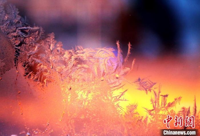 迎著光亮，冰窗花絢麗多姿?！O書程 攝