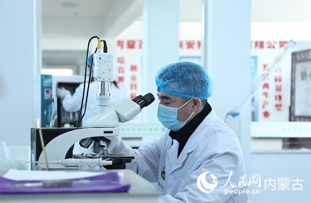 內(nèi)蒙古中農(nóng)興安種牛科技有限公司落戶科右中旗，為肉牛產(chǎn)業(yè)發(fā)展提供了優(yōu)質(zhì)的種源保障。白俊華攝