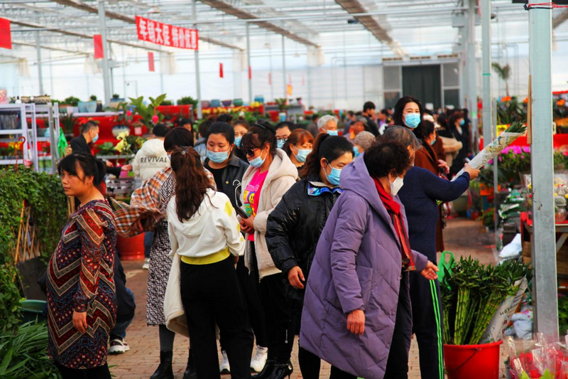 赤峰市民在松山區(qū)雨潤(rùn)花卉市場(chǎng)選購(gòu)鮮花 李富 攝.png