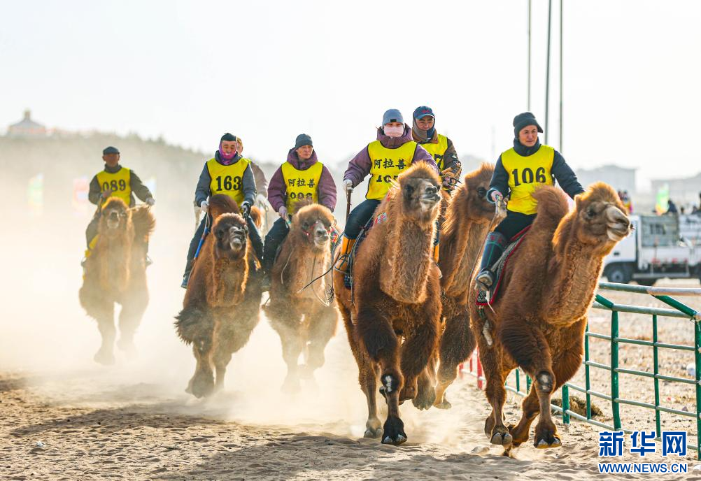 3月7日，賽駝手在6000米成年駱駝場地速度賽比賽中。.jpg