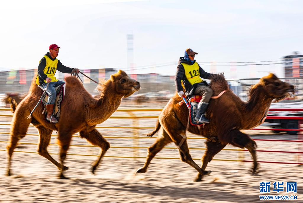 3月7日，賽駝手在6000米成年駱駝場地速度賽比賽中.jpg