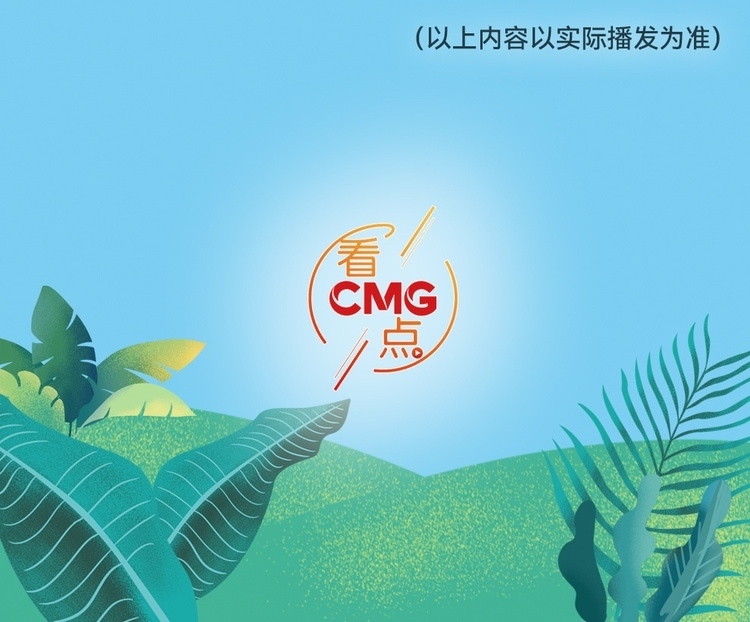 總臺周看點(diǎn)，來了！