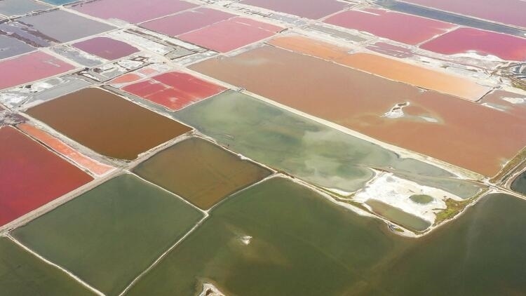 鑒往知來，跟著總書記學(xué)歷史丨走進(jìn)一座博物館，尋根五千年中華文明