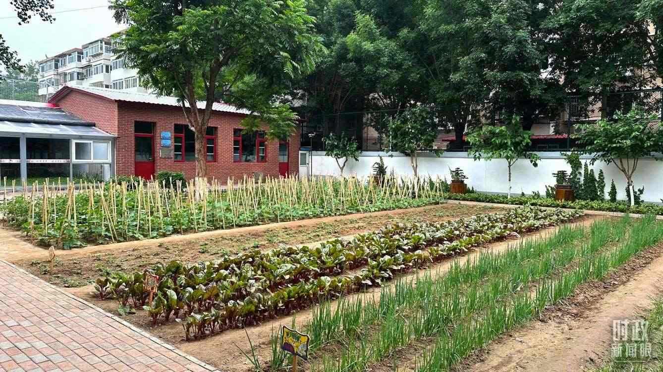 △學(xué)生農(nóng)場(chǎng)。（總臺(tái)央視記者趙化拍攝）