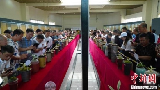 圖為活動(dòng)現(xiàn)場(chǎng)。 云南省委臺(tái)辦供圖