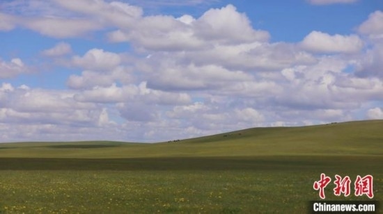 圖為點(diǎn)點(diǎn)新綠在原野上蓄勢待發(fā)。 歐戈 攝