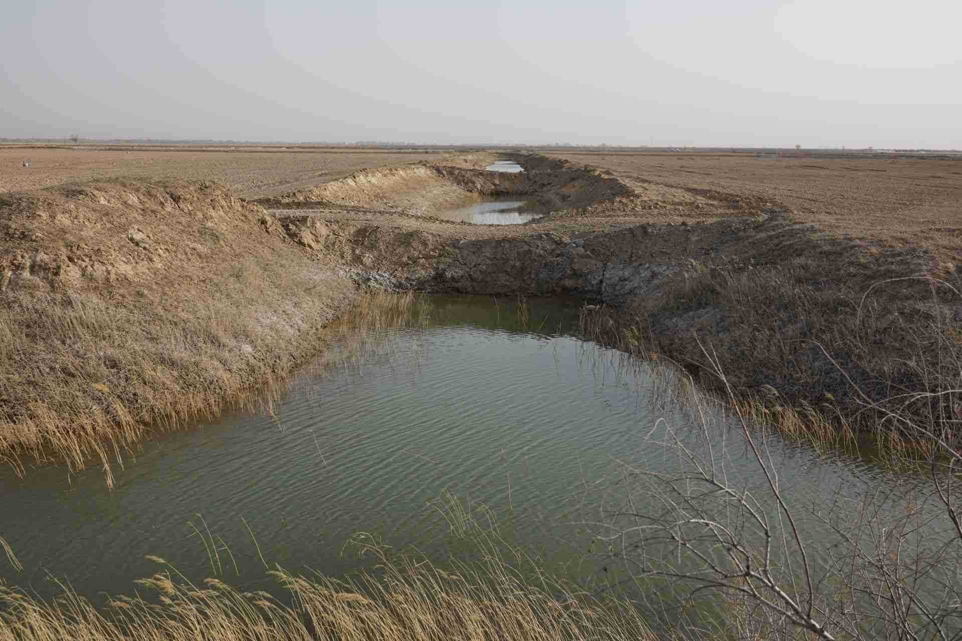 堵塞的排堿渠。 人民網(wǎng)記者 游天燚攝