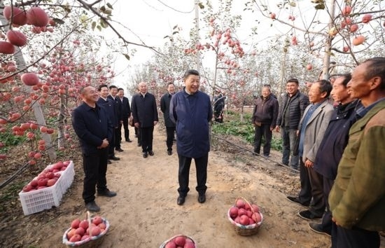 2022年10月26日，習(xí)近平總書記在陜西省延安市安塞區(qū)高橋鎮(zhèn)南溝村蘋果園同老鄉(xiāng)們親切交流。