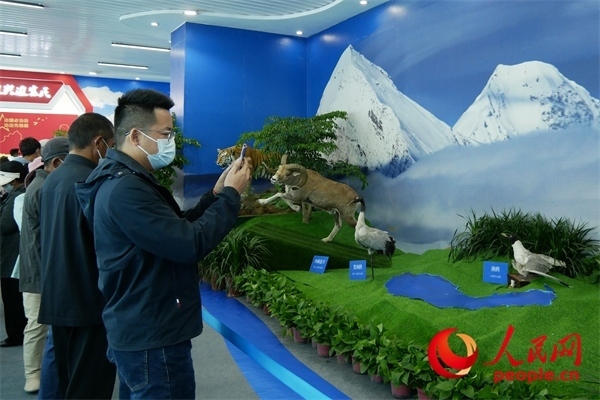 6月17日，觀眾正在觀展。人民網(wǎng) 韋衍行攝