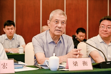 中國(guó)林業(yè)生態(tài)作家協(xié)會(huì)名譽(yù)主席梁衡發(fā)言。主辦方供圖