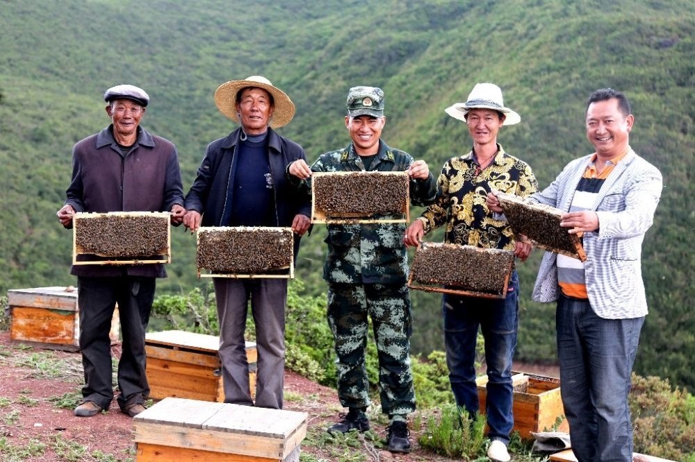 ↑武警四川總隊涼山支隊精準幫扶昭覺縣梭梭拉打村發(fā)展養(yǎng)蜂產(chǎn)業(yè)，總隊駐村扶貧干部布哈（中）和村民一同展示豐收成果（2019年6月12日攝）。新華社發(fā)（楊劍 攝）