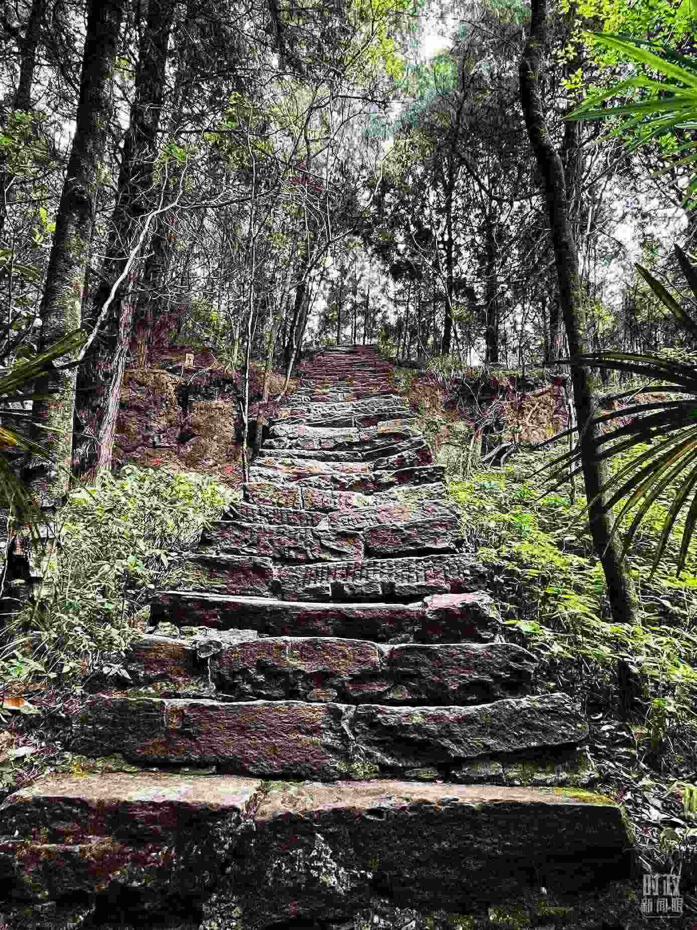 △古蜀道。（總臺央視記者郭曉龍拍攝）