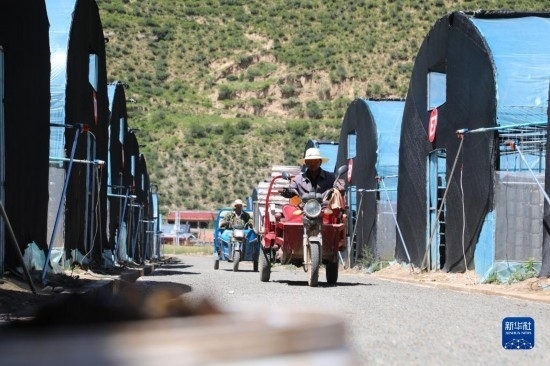 7月29日，農戶在卓尼縣納浪鎮(zhèn)納浪村黑木耳種植基地勞作。