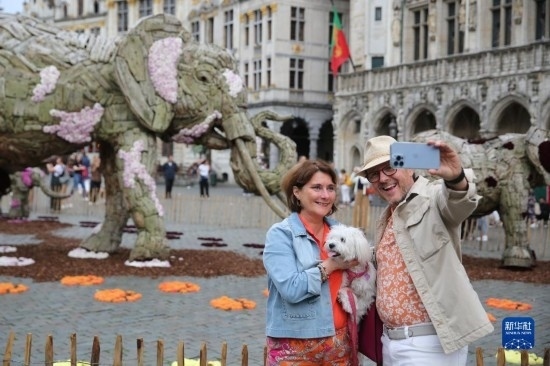 8月11日，觀眾在比利時(shí)布魯塞爾“鮮花時(shí)光”展覽上拍照。新華社記者 趙丁喆攝