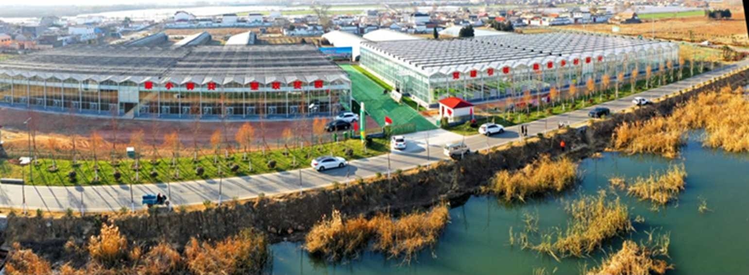 白樓灣三產(chǎn)融合發(fā)展。宋道森攝