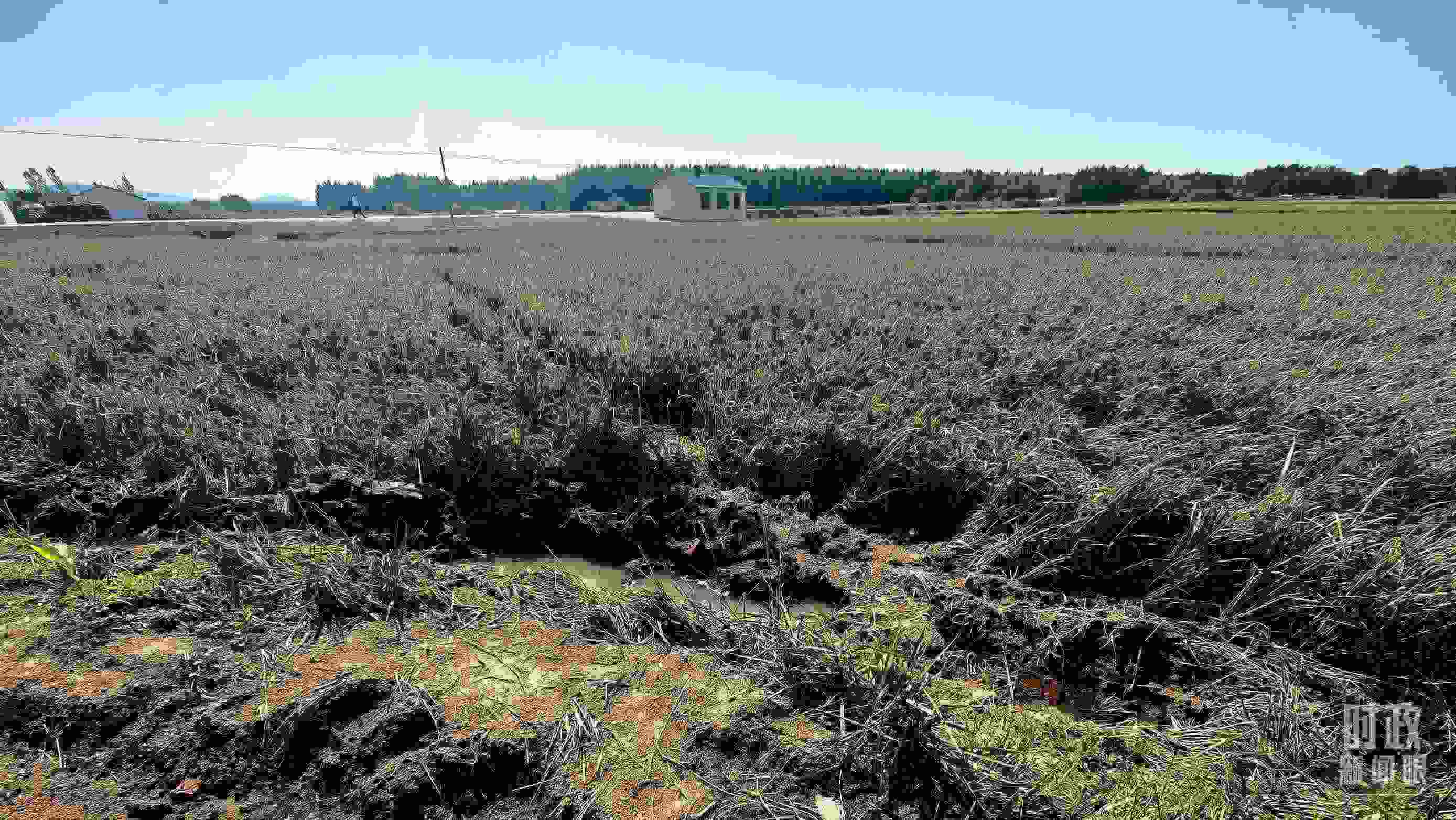 △圖為龍王廟村在洪災(zāi)中受損的農(nóng)田。（總臺央視記者史偉拍攝）