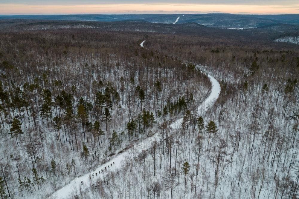 △2023年1月，漠河林場(chǎng)數(shù)十名職工自發(fā)組成的森林撫育隊(duì)伍，在人跡罕至的山林中作業(yè)。
