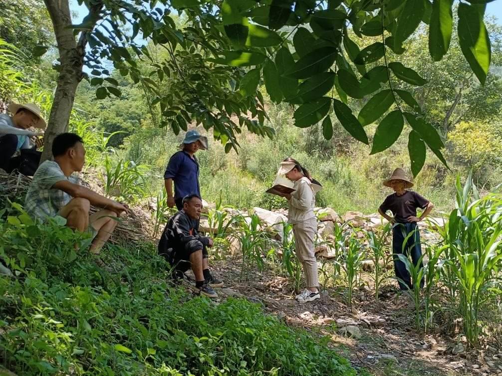 2023年7月18日，兩家村民發(fā)生土地方面的糾紛，李江女（右二）在記錄情況。受訪者供圖
