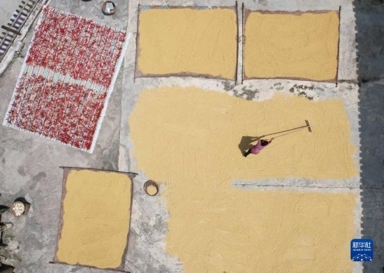 9月16日，村民在貴州省黔東南苗族侗族自治州施秉縣馬溪鄉(xiāng)王家坪村晾曬稻谷（無人機(jī)照片）。