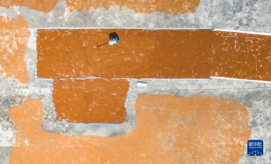 9月16日，農(nóng)民在貴州省安順市西秀區(qū)大西橋鎮(zhèn)吉昌村晾曬高粱（無人機(jī)照片）。