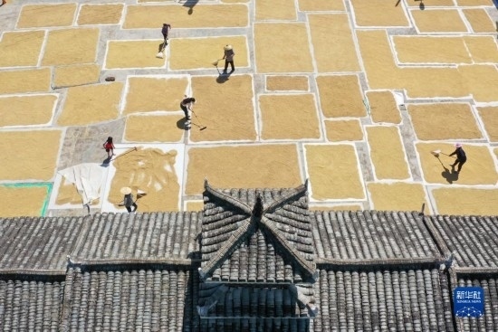 9月16日，村民在貴州省黔東南苗族侗族自治州從江縣剛邊壯族鄉(xiāng)三聯(lián)村晾曬稻谷（無人機(jī)照片）。