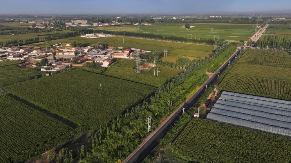 東興村周邊建起防護(hù)林網(wǎng)（無人機(jī)照片，2023年9月12日攝）。新華社記者李云平 攝