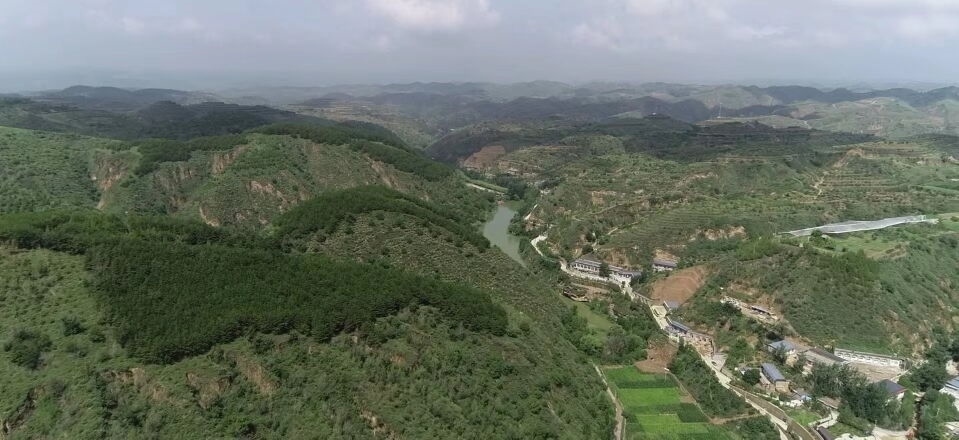 黃土溝壑中的高西溝村滿眼綠色（無人機(jī)照片，2023年7月26日）。新華社記者陳昌奇 攝