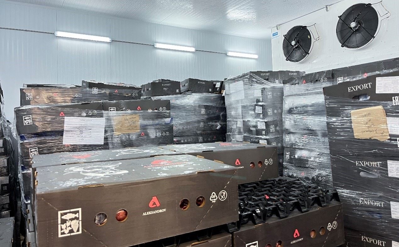 恒溫冷庫(kù)中，包裝好的牛肉等待發(fā)往中國(guó)。人民網(wǎng)記者 朱虹攝