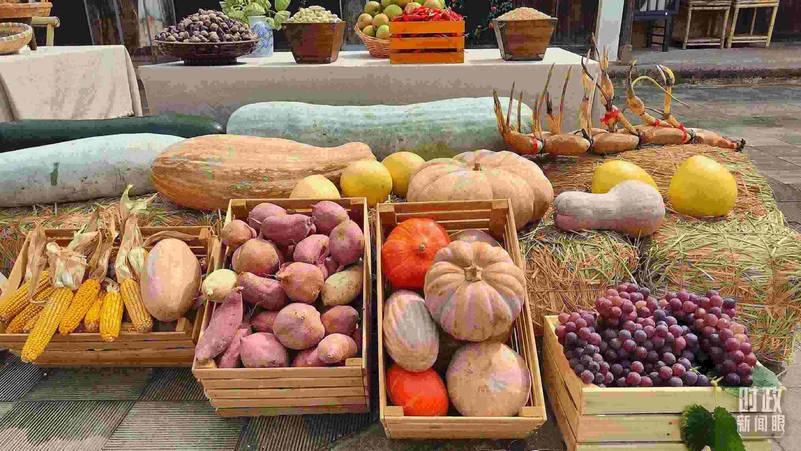 △村廣場“共富市集”，擺放著種類豐富的特色農(nóng)產(chǎn)品。（總臺央視記者楊立峰拍攝）