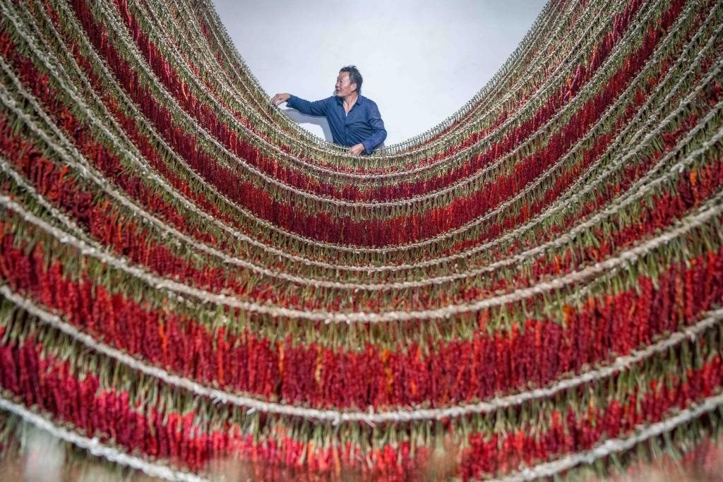 在貴州省畢節(jié)市大方縣理化鄉(xiāng)金雞村，村民查看辣椒烘干情況。新華社發(fā) 羅大富攝