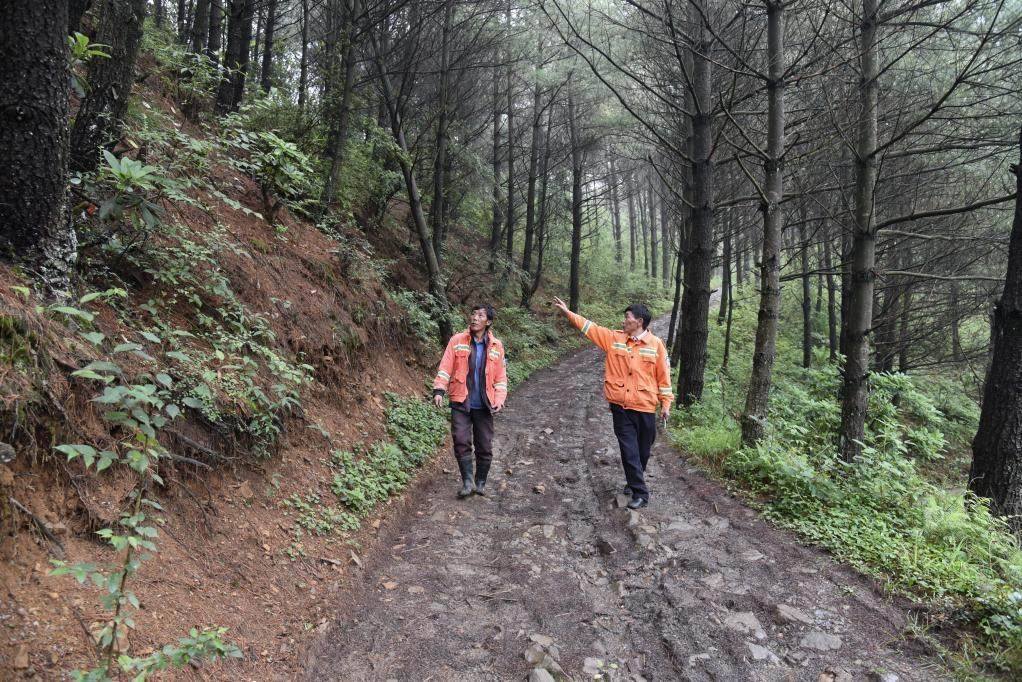 海雀村生態(tài)護林員馬正安（左）和海雀村林管員王光德（右）在日常巡山護林。新華社記者 李凡 攝