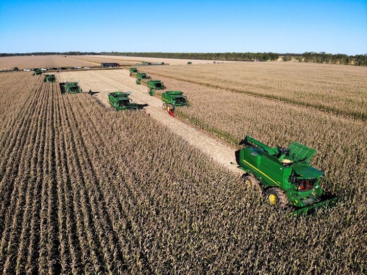 9月20日在位于黑龍江雙鴨山市友誼縣的北大荒農業(yè)股份有限公司友誼分公司一地塊拍攝的秋收現場（無人機照片）。新華社記者 王松 攝