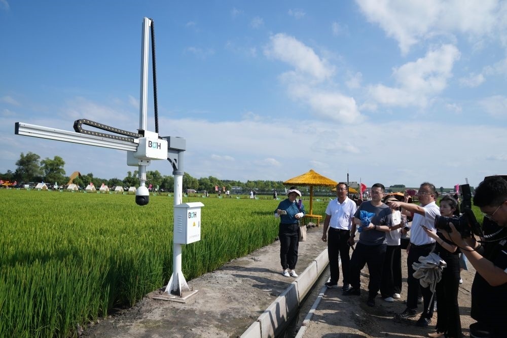 在北大荒集團閆家崗農場有限公司農業(yè)現(xiàn)代化示范區(qū)，工作人員在介紹利用數(shù)字技術的葉齡診斷儀（2023年8月10日攝）。新華社記者 王建威 攝