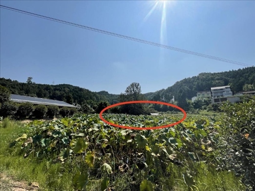 曾經(jīng)的圣水園所在地。 人民網(wǎng)記者 楊喬攝