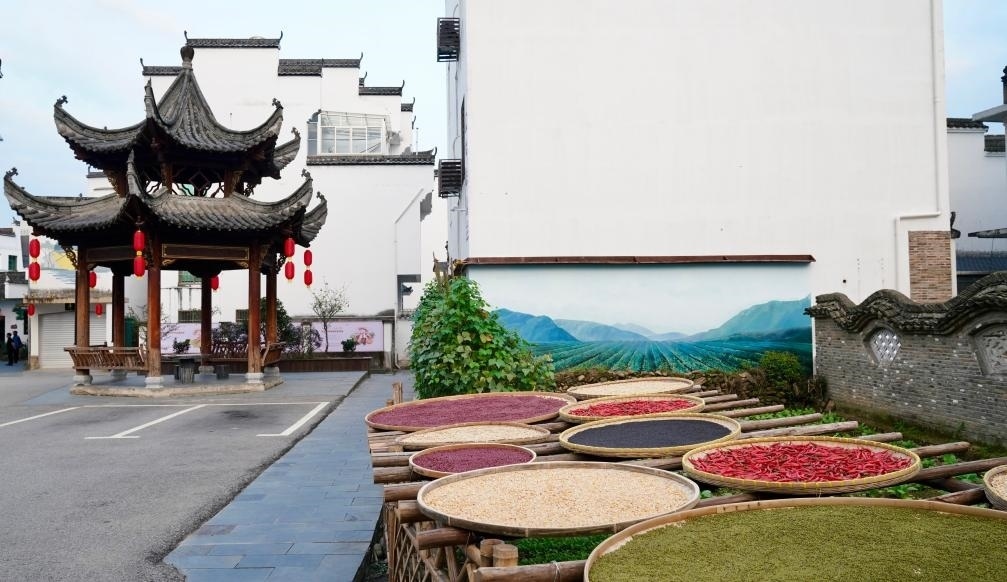 近日拍攝的江西省上饒市婺源縣秋口鎮(zhèn)王村石門自然村曬秋場(chǎng)景。新華社記者 胡晨歡 攝