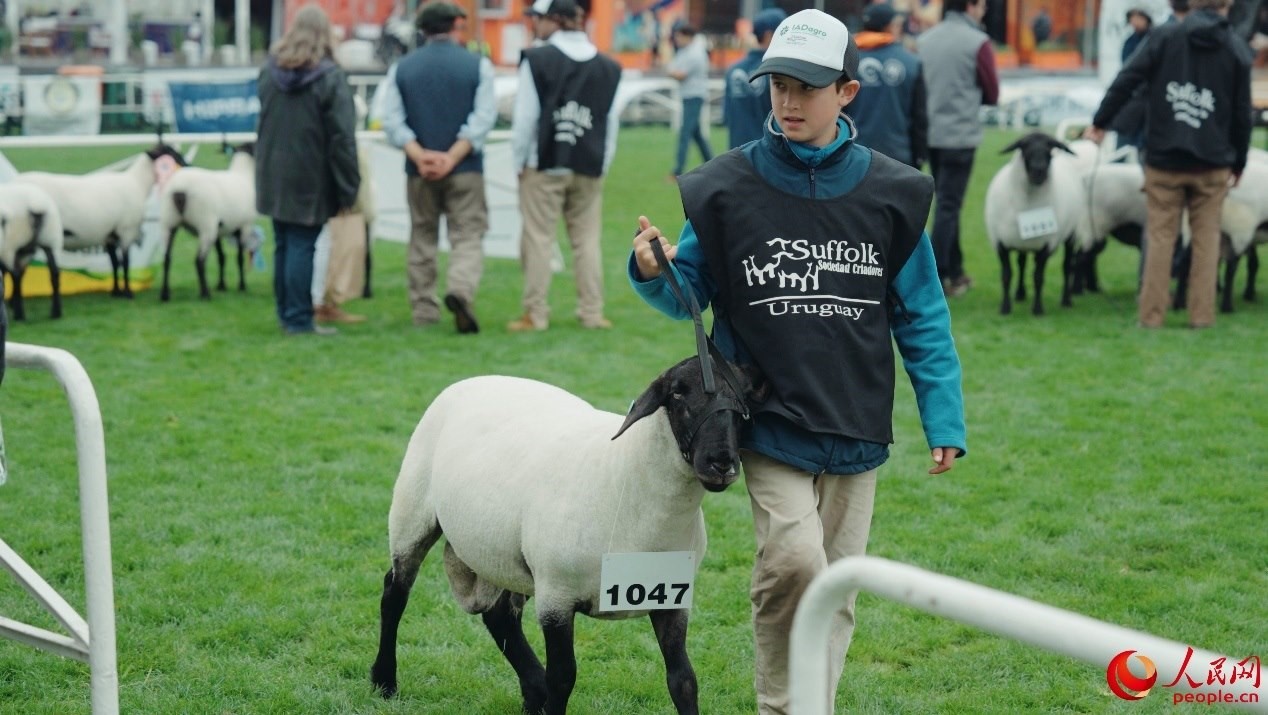 烏拉圭第118屆普拉多牧農業(yè)國際博覽會現(xiàn)場。人民網記者 張若涵攝