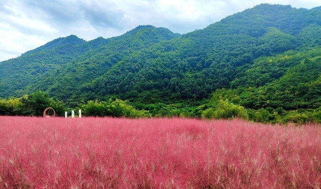 寶成線鳳縣境內(nèi)的路邊。