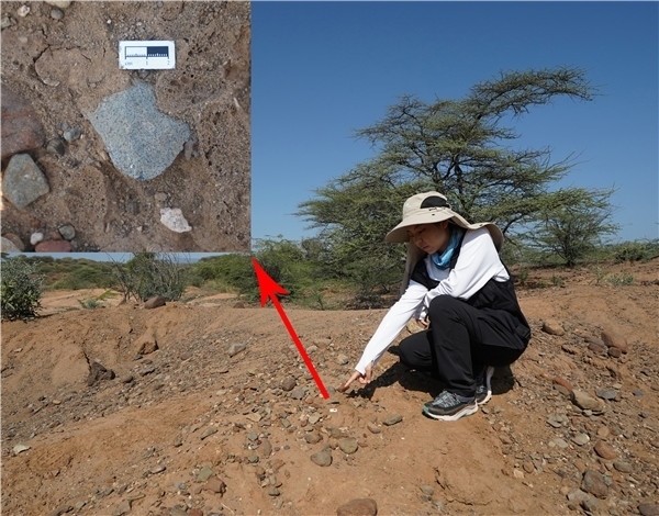 地層中的勒瓦婁哇石片。中肯聯(lián)合考古隊供圖