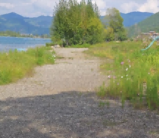 王軍所說被填區(qū)域。 人民網(wǎng)記者 黃鈺攝