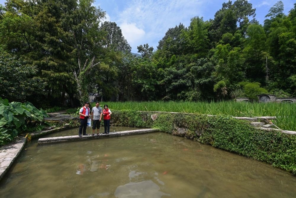 2023年8月17日，浙江省麗水市青田縣方山鄉(xiāng)田魚養(yǎng)殖戶吳勇強(qiáng)（中）在接受青田農(nóng)商銀行“小蜻蜓”服務(wù)隊(duì)志愿者提供的“惠民易貸”上門服務(wù)。近年來，青田縣金融發(fā)展中心聯(lián)合各個(gè)金融機(jī)構(gòu)優(yōu)化配套鄉(xiāng)村振興金融服務(wù)，推出“惠民易貸”“農(nóng)家樂貸”等金融產(chǎn)品，重點(diǎn)支持涉農(nóng)龍頭企業(yè)及特色種養(yǎng)殖產(chǎn)業(yè)。新華社記者 徐昱 攝