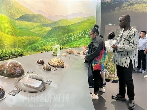  （在中國藥都中醫(yī)藥博物館，外媒記者了解中醫(yī)藥發(fā)展史。中國經(jīng)濟周刊記者 郭志強 攝）