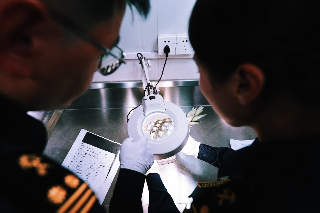 上海海關(guān)關(guān)員針對檢疫性有害生物和農(nóng)藥殘留進(jìn)行檢疫檢驗。陳興洲攝