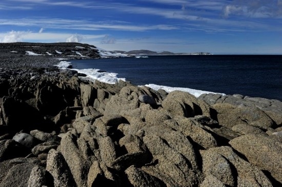 羅斯海恩克斯堡島的夏季風(fēng)光。新華社記者 張建松 攝